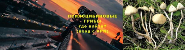 трава Осташков