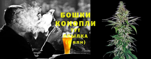 ПСИЛОЦИБИНОВЫЕ ГРИБЫ Осинники