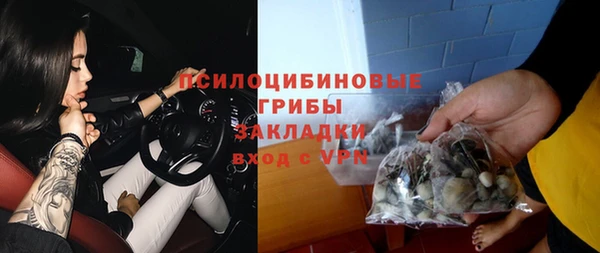 ПСИЛОЦИБИНОВЫЕ ГРИБЫ Осинники