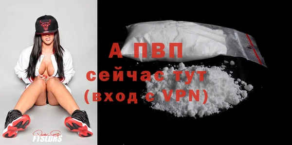 ПСИЛОЦИБИНОВЫЕ ГРИБЫ Осинники