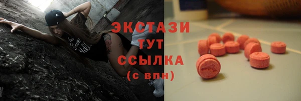 ПСИЛОЦИБИНОВЫЕ ГРИБЫ Осинники