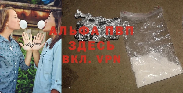 ПСИЛОЦИБИНОВЫЕ ГРИБЫ Осинники