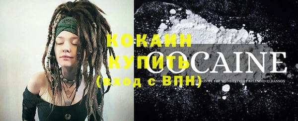 ПСИЛОЦИБИНОВЫЕ ГРИБЫ Осинники