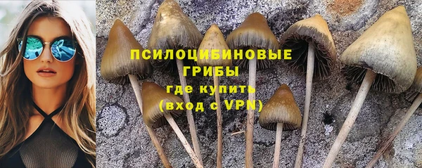 дурь Нязепетровск