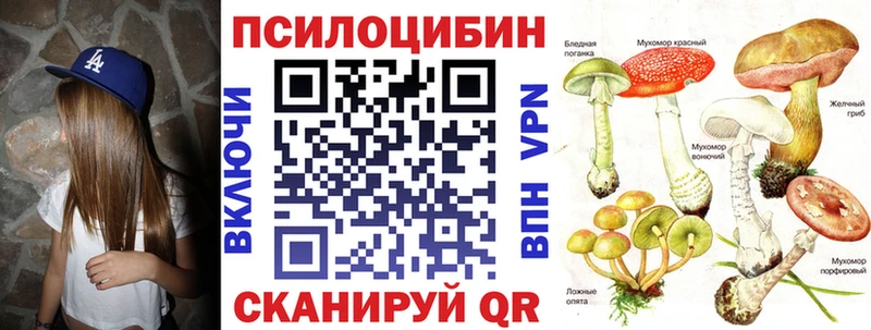 ссылка на мегу ONION Белый Псилоцибиновые грибы GOLDEN TEACHER