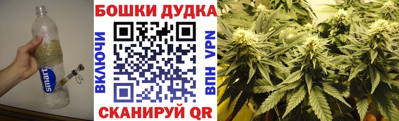Бошки марихуана OG Kush  Белый 